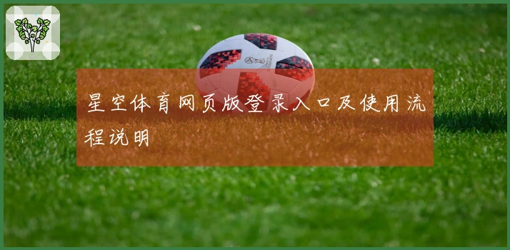 星空体育网页版登录入口及使用流程说明