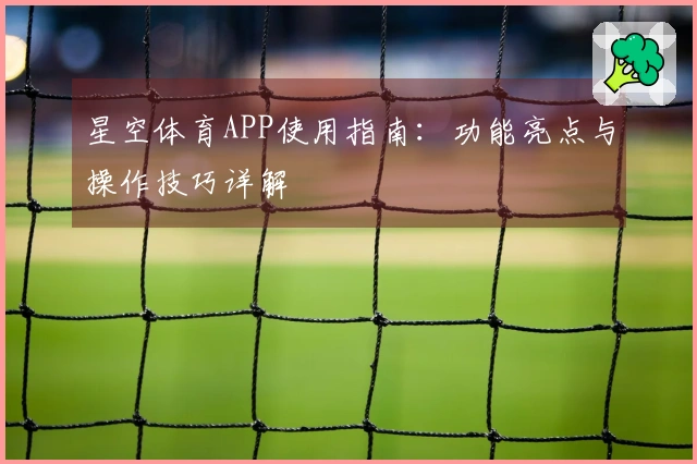 星空体育APP使用指南：功能亮点与操作技巧详解